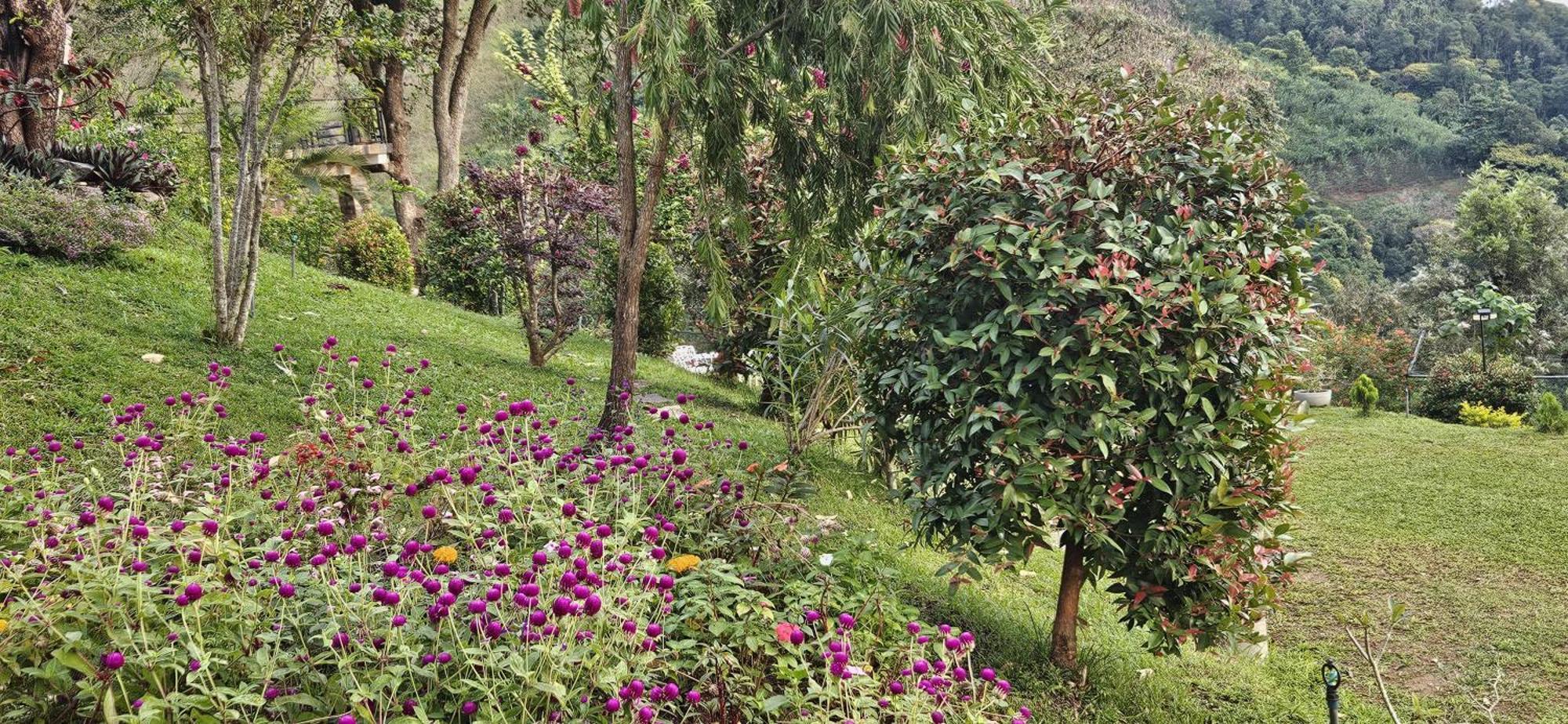 Sithara Estate Bungalow Елла Екстер'єр фото