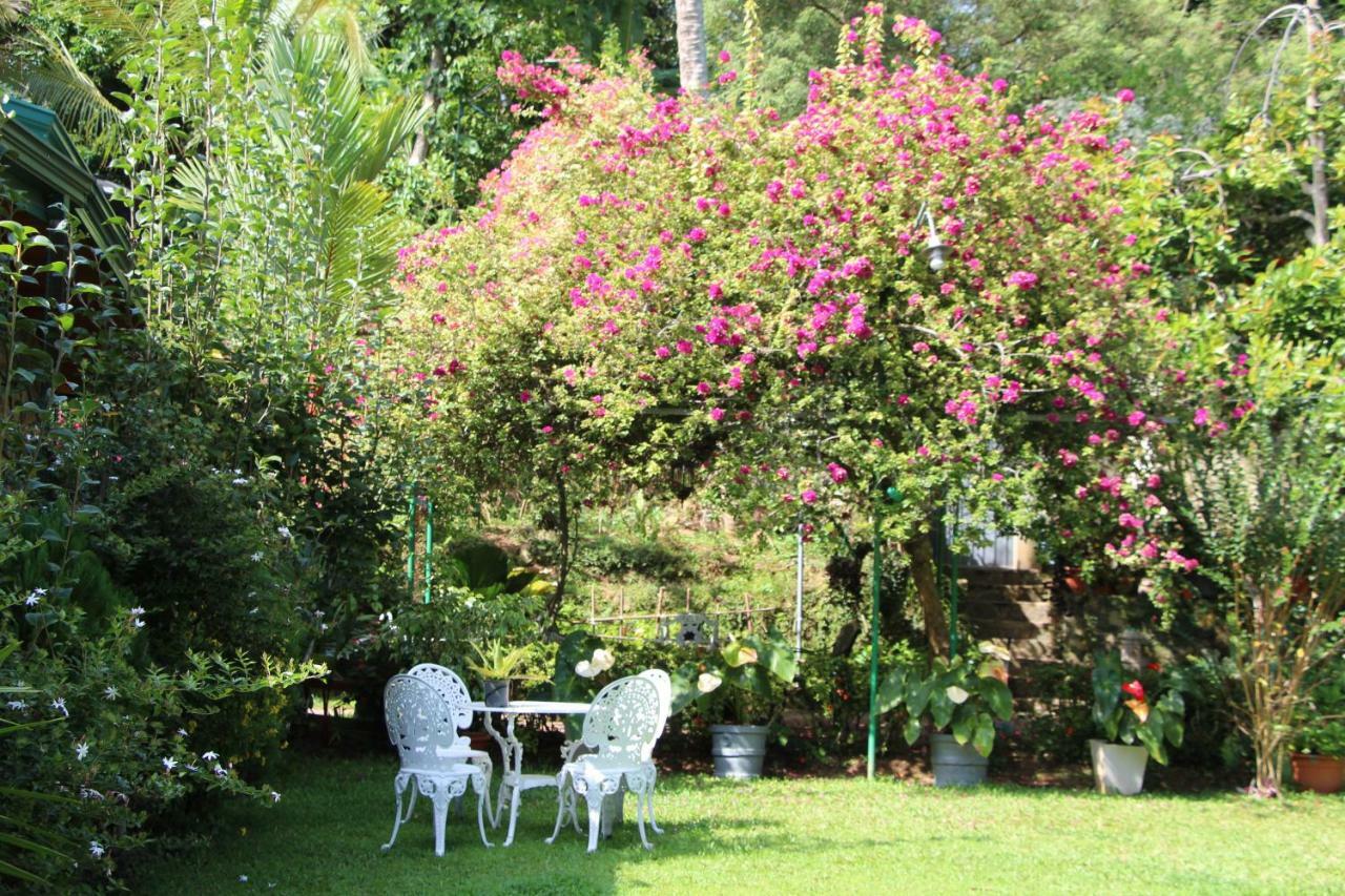 Sithara Estate Bungalow Елла Екстер'єр фото